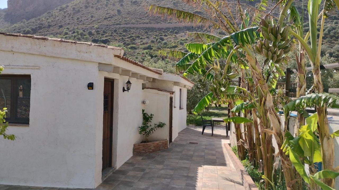 El Ventorrillo La Alegria Apartment Malaga Exterior photo
